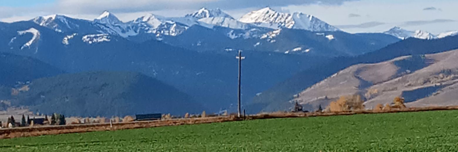 P G banner
