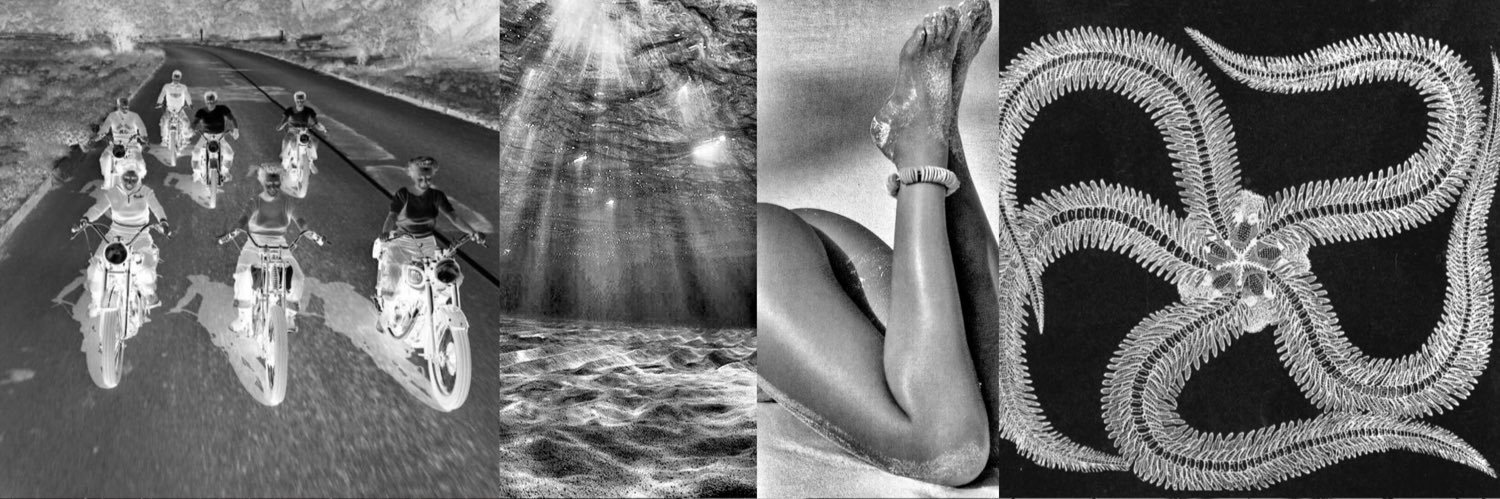 Sophie Ray▪️▪️▪️ banner