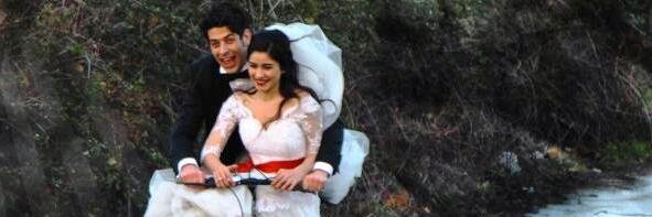 bbs_fans's profile banner image