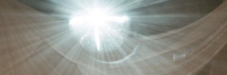 mia shell .ೃ࿔*'s banner