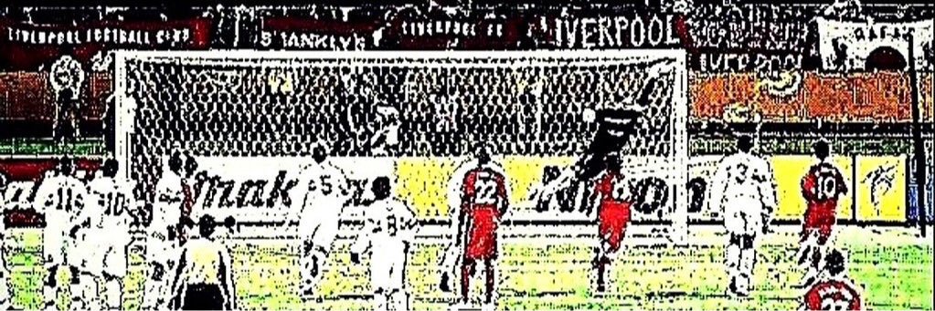 Fernando banner