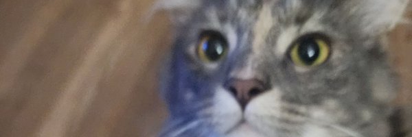 TheMsDoe1688 Profile Banner