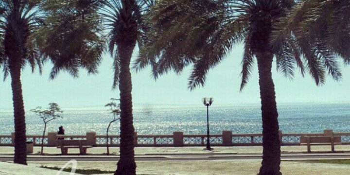 Abdulaziz Baafif banner