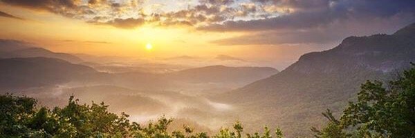 Travis Haynie banner