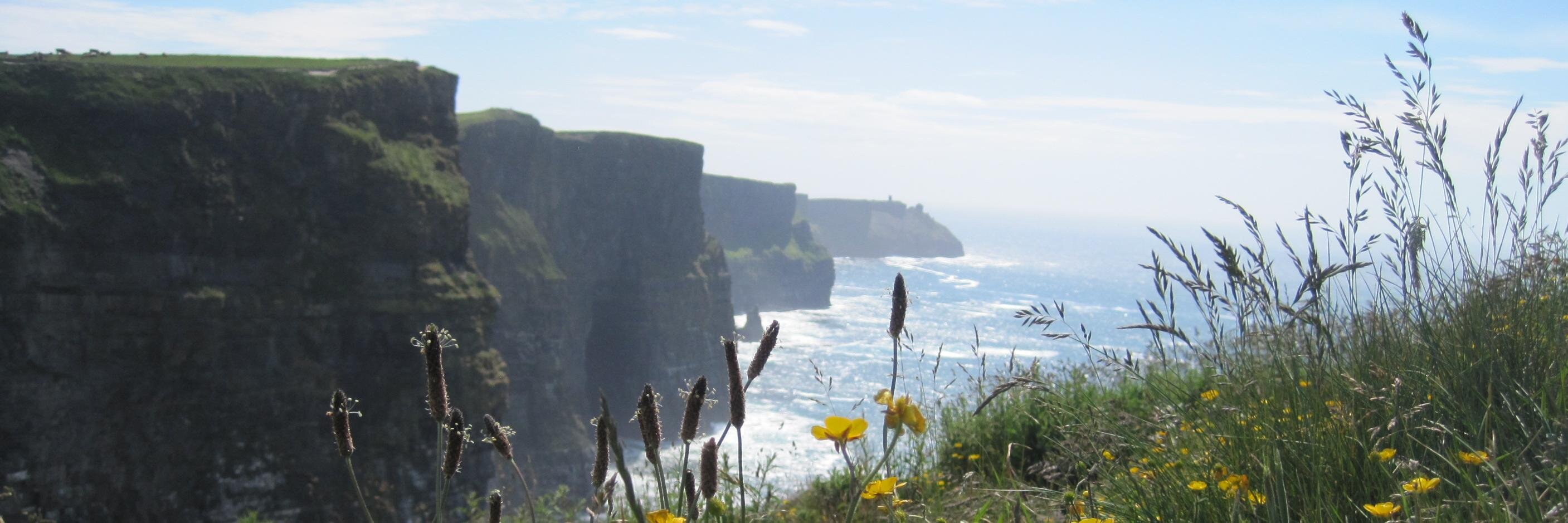 Carolina Travel Girl banner