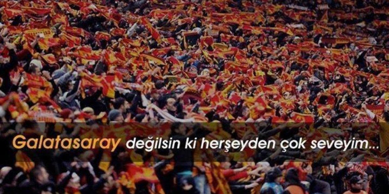 capunsavas's profile banner image