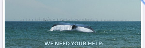 ack4whales Profile Banner