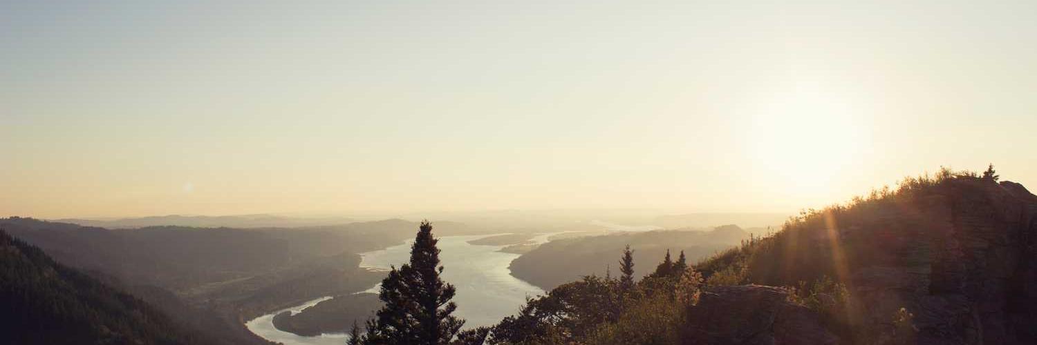 AbsoluteMocker's profile banner image