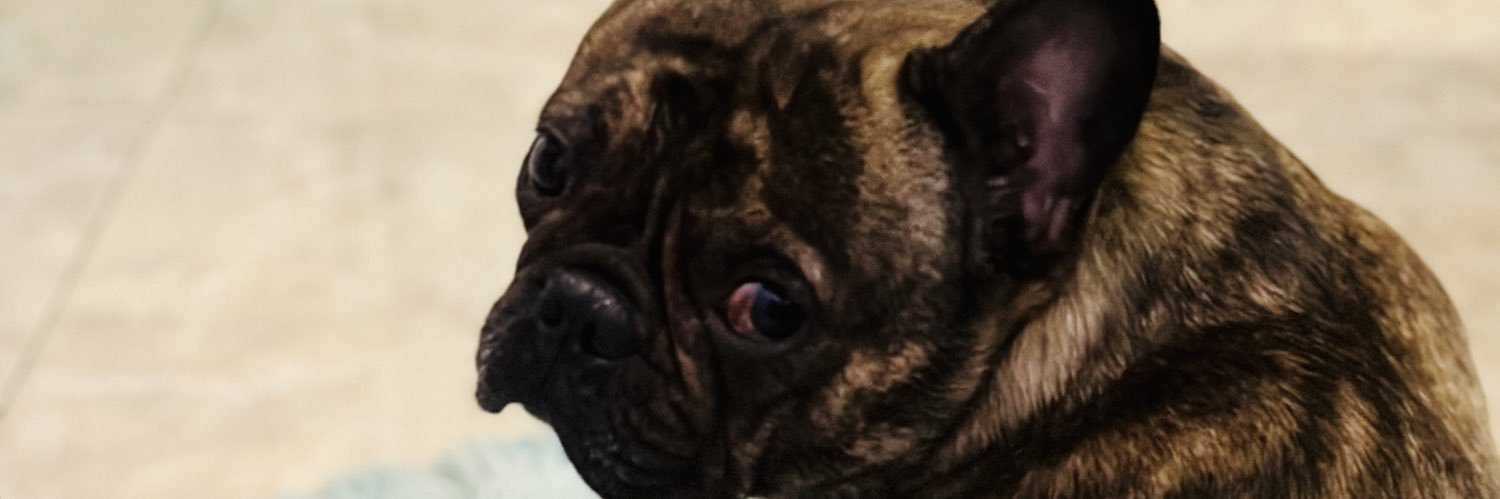 antonistrianta8's profile banner image