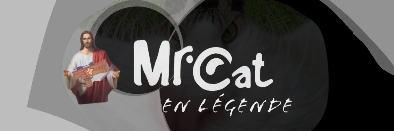 Mr.Cat banner