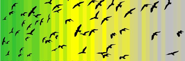 AnFearSligeach Profile Banner