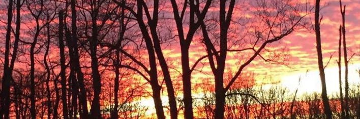 JayHusek's profile banner image