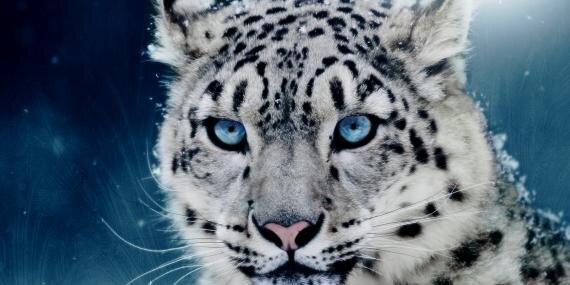 Laura_Ftz93's profile banner image