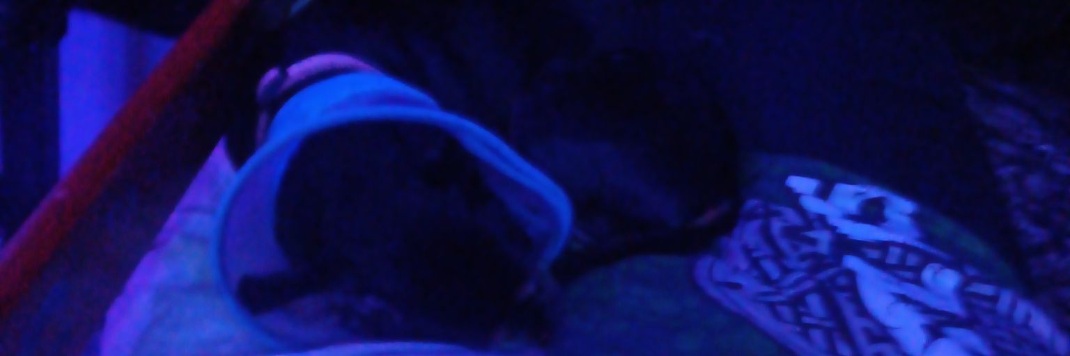 LilLogiForLife's profile banner image