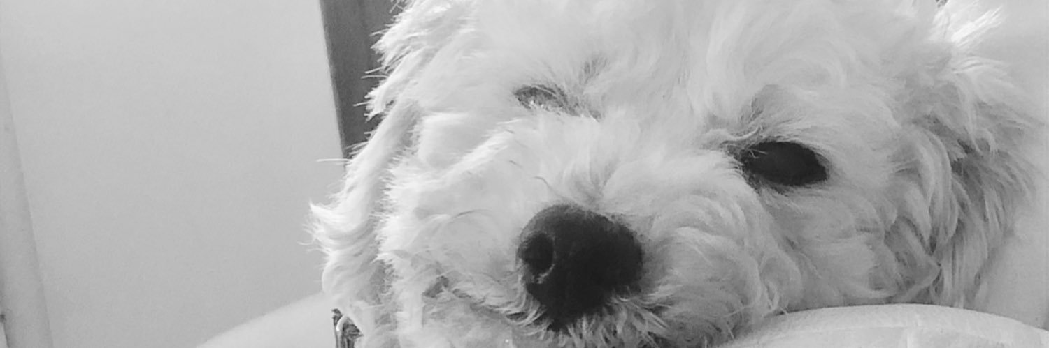 atoatoru's profile banner image