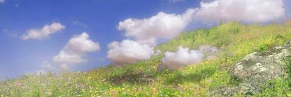 ccyanideapples Profile Banner