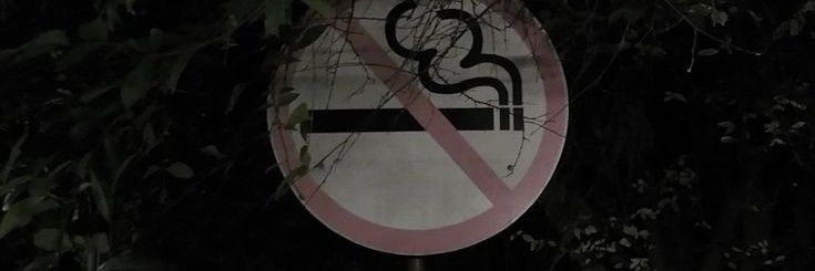 sillyapplesb's profile banner image