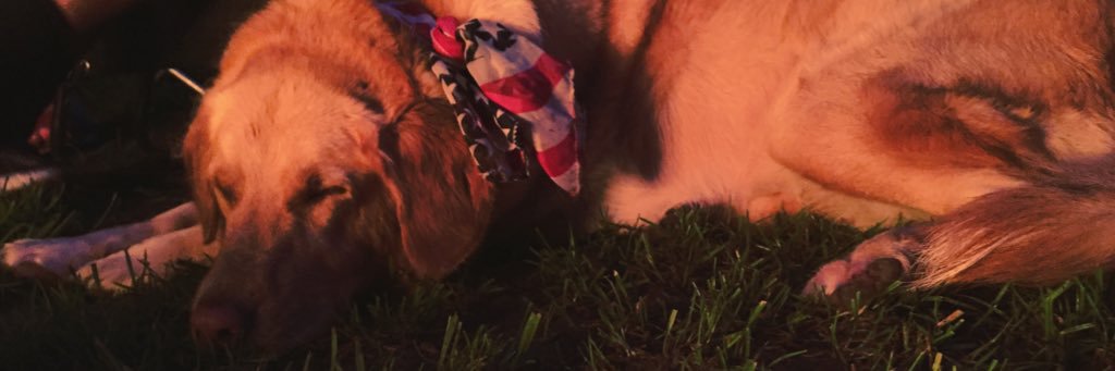 daniellecmpbell's profile banner image
