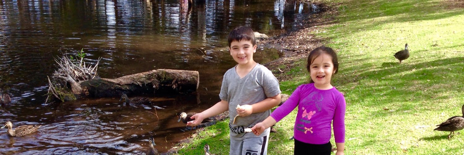 David Raffaele banner