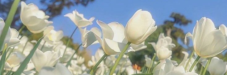 フィルム🌷💰เว็บรักกันที✨990 banner