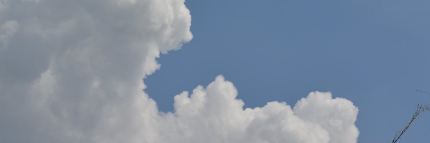 borongay's profile banner image