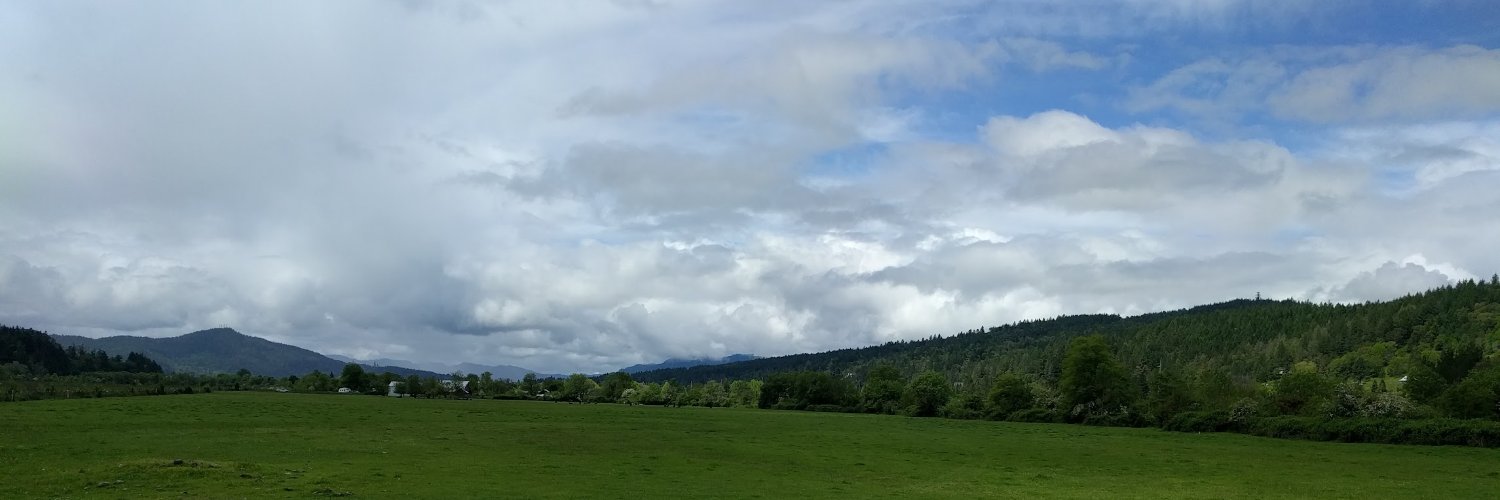 Robert Roskam banner