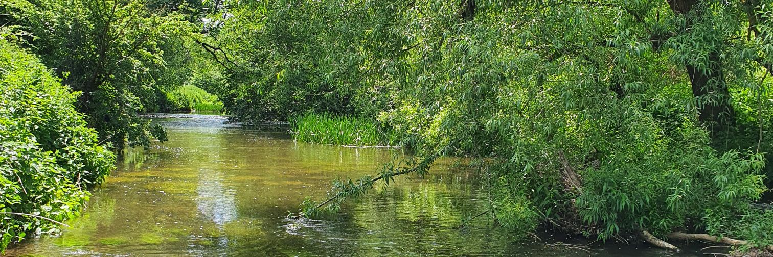 Fisherman Phil banner