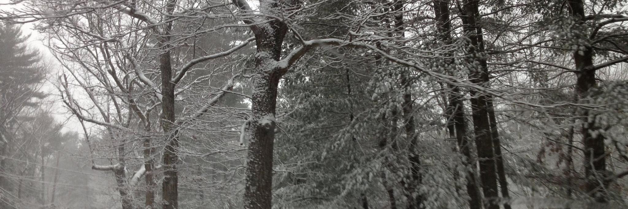 Dover-Sherborn Patch banner