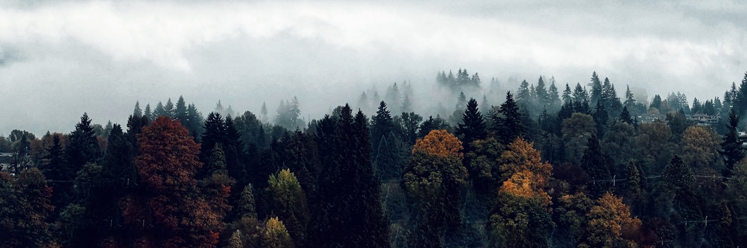 Sepid Hosseini banner