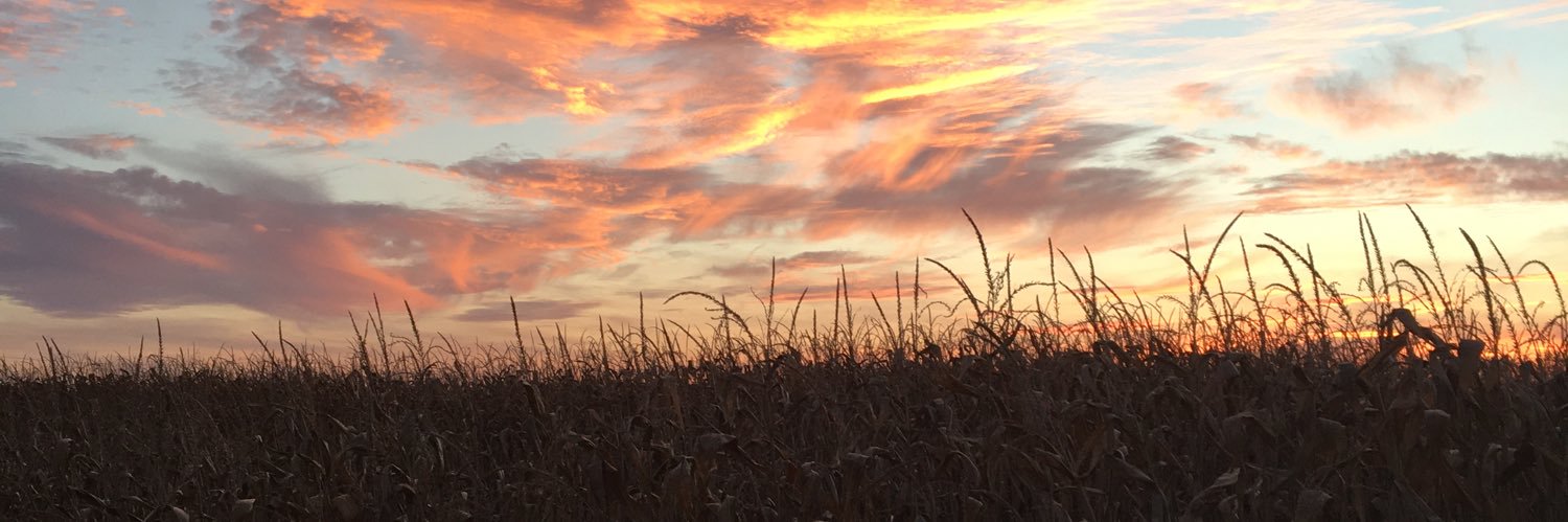 DeVerWhite's profile banner image