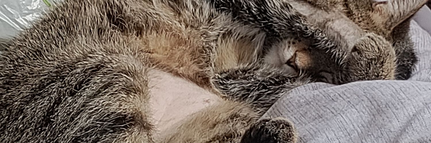 Shyler007's profile banner image