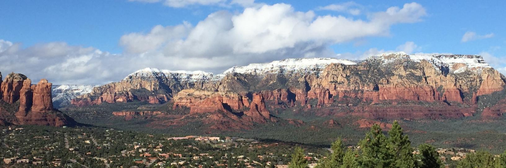Carol Lippert banner