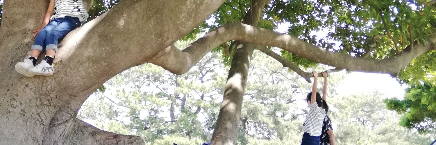 qQLcorrxlStIDFV's profile banner image