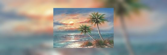 Solace on Coconut Island banner