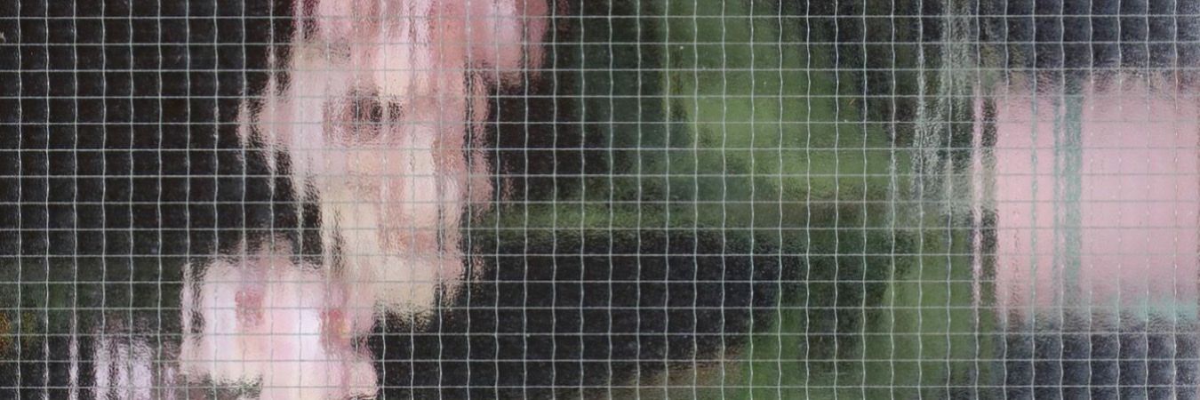 erie :) banner