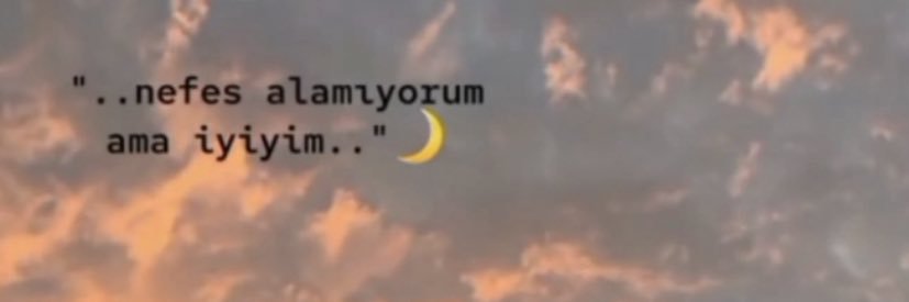 1650Ayse's profile banner image