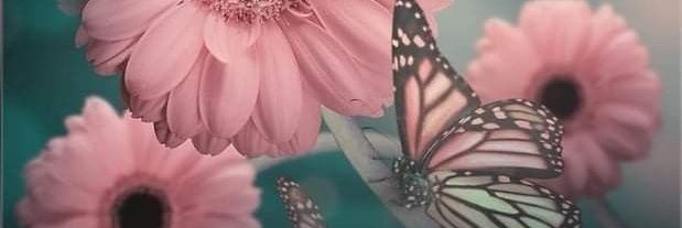 Maritza710550's profile banner image