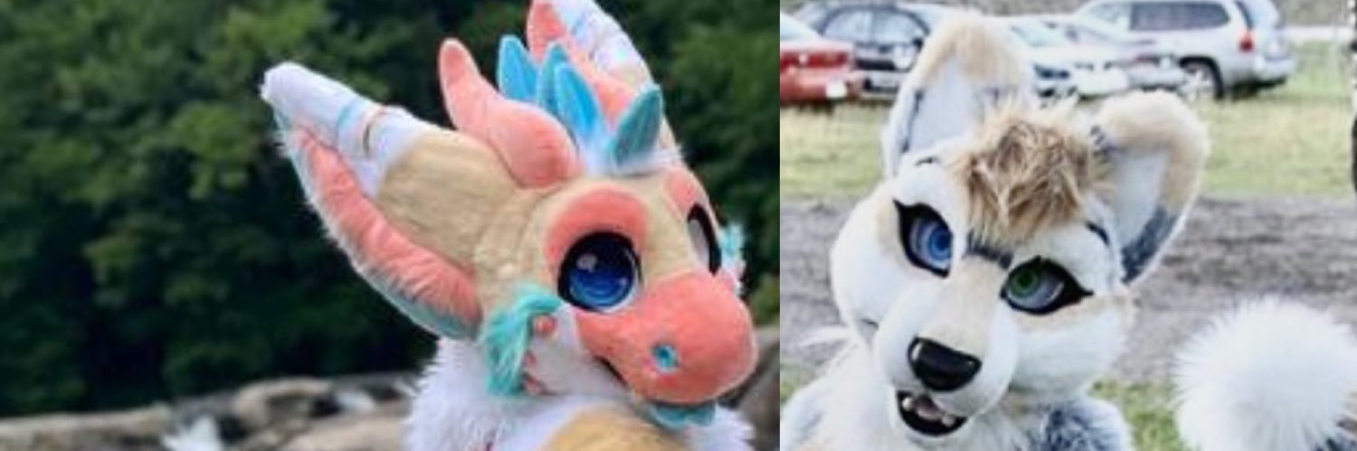 Silverhusky's profile banner image