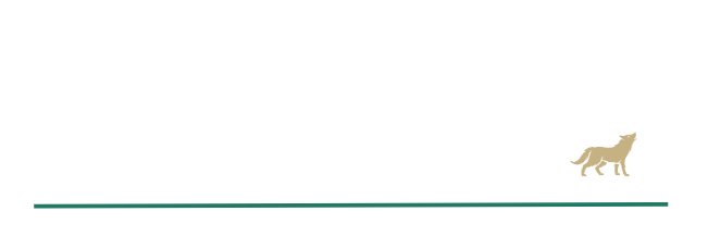 Dylan Scroggins I Recruiting Leadership Roles's banner