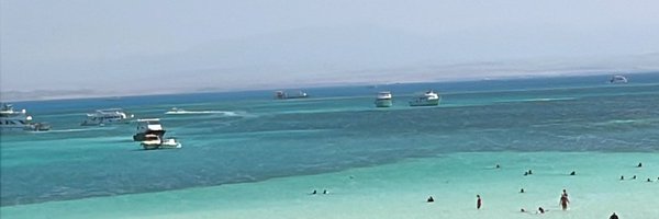 faddouza Profile Banner