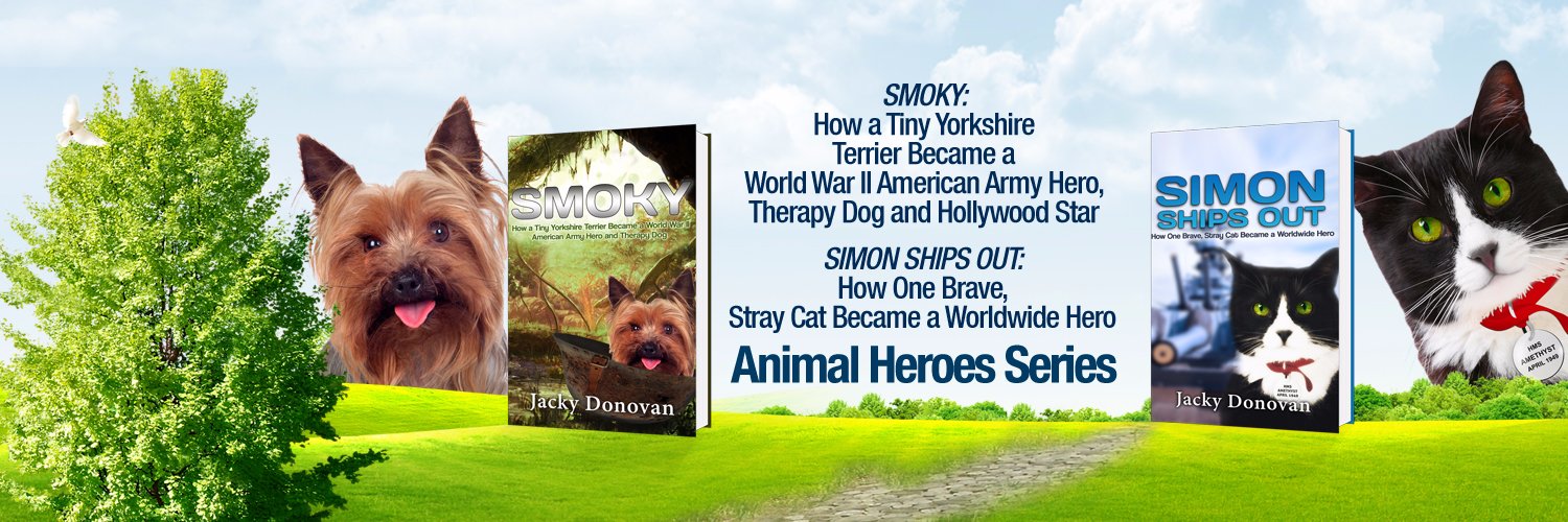 HeroicAnimals's profile banner image