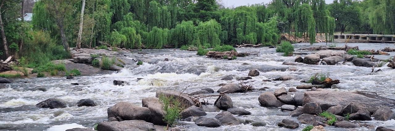 anna sanfilippo banner