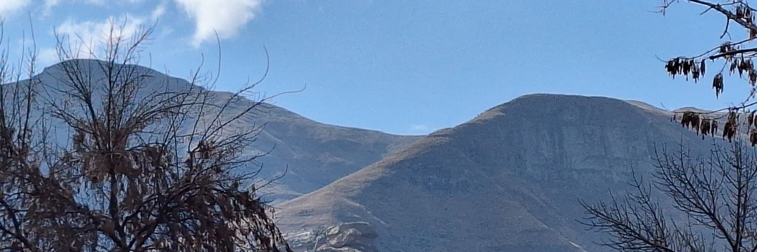 Scumezza's profile banner image