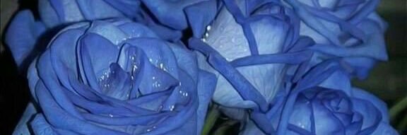 neige_devil's profile banner image