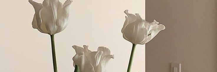 nAt💬🩷 mt after dm!!! banner