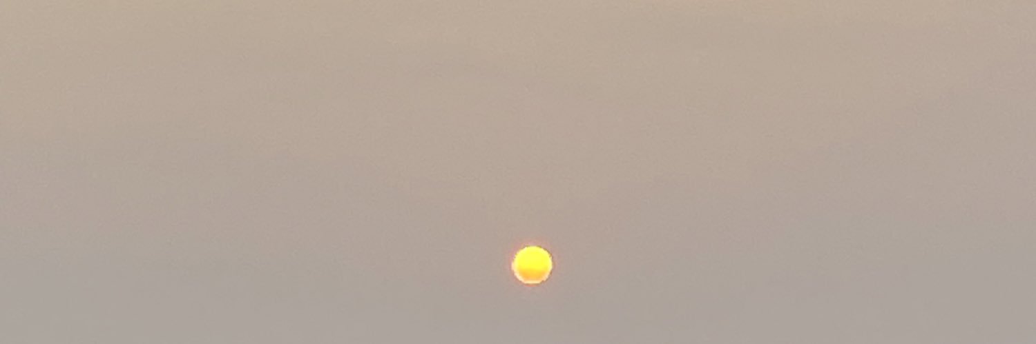 nityafredy's profile banner image
