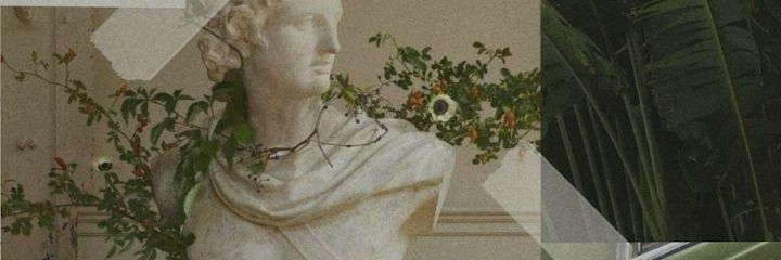 Koala_Bos's profile banner image