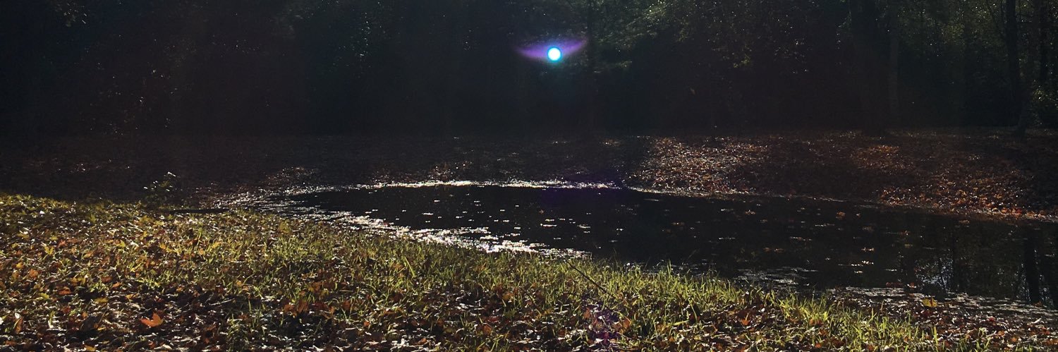 Janet Kelly🌊🌊🌊 banner