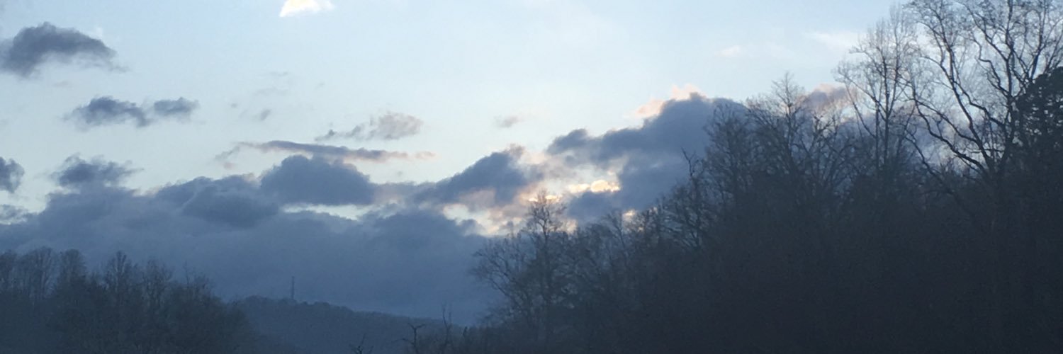 OCollier's profile banner image