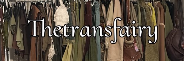 Thetransfairy Profile Banner